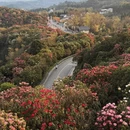 遵义旅游 缩略图 8