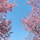 宁波旅游 缩略图 15