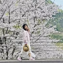 宁波旅游 缩略图 4