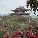 遵义旅游 缩略图 4