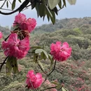 遵义旅游 缩略图 3