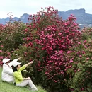 毕节旅游 缩略图 9