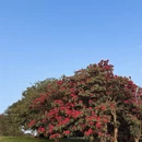 遵义旅游 缩略图 4