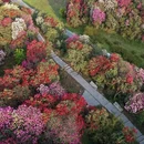 贵阳旅游 缩略图 5