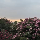 遵义旅游 缩略图 5