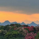遵义旅游 缩略图 6