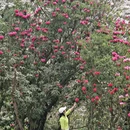 毕节旅游 缩略图 11