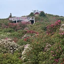 毕节旅游 缩略图 12