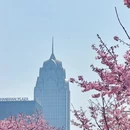 宁波旅游 缩略图 7