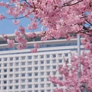 宁波旅游 缩略图 8