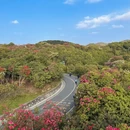 遵义旅游 缩略图 8