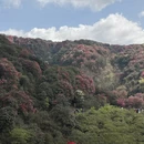 遵义旅游 缩略图 10
