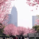 宁波旅游 缩略图 17