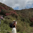 遵义旅游 缩略图 13