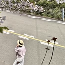 宁波旅游 缩略图 8