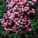 毕节旅游 缩略图 3