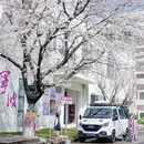 宁波旅游 缩略图 1