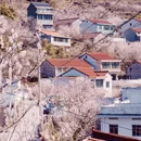 上海旅游 缩略图 3