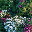 毕节旅游 缩略图 4