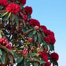 毕节旅游 缩略图 5