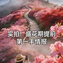 毕节旅游 缩略图 1