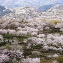 宁波旅游 缩略图 1