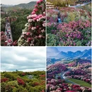 毕节旅游 缩略图 2