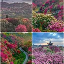 毕节旅游 缩略图 3