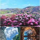 毕节旅游 缩略图 4