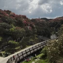 遵义旅游 缩略图 14