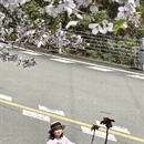 宁波旅游 缩略图 9