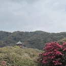 遵义旅游 缩略图 7