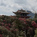 遵义旅游 缩略图 15