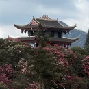 遵义旅游 缩略图 17