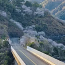 宁波旅游 缩略图 11