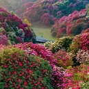 毕节旅游 缩略图 1