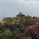 遵义旅游 缩略图 18