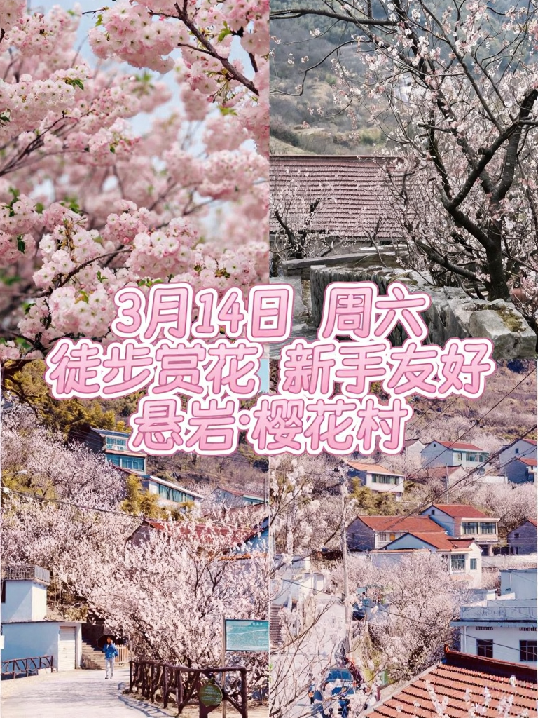 上海旅游