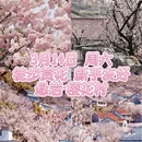 上海旅游 缩略图 1