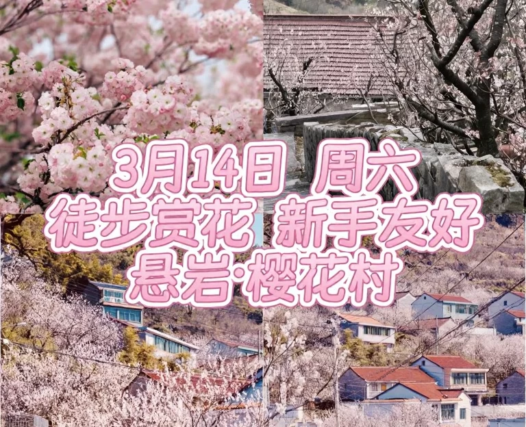 上海旅游 1