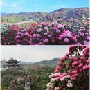 毕节旅游 缩略图 5