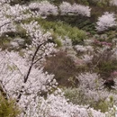 宁波旅游 缩略图 4