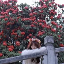 毕节旅游 缩略图 2