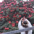 毕节旅游 缩略图 4