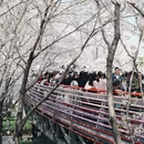 宁波旅游 缩略图 5