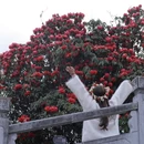 毕节旅游 缩略图 3