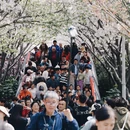 宁波旅游 缩略图 7