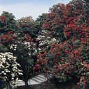 毕节旅游 缩略图 5