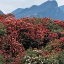 毕节旅游 缩略图 6