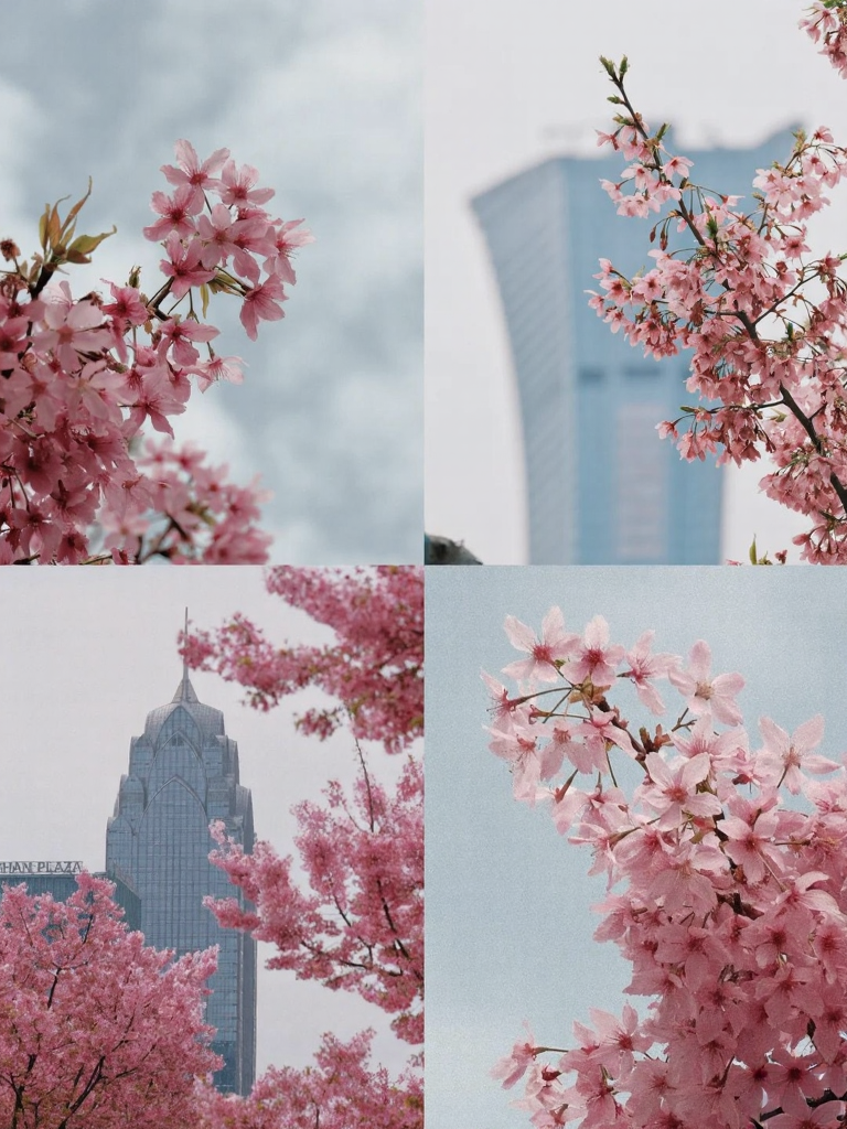 宁波旅游